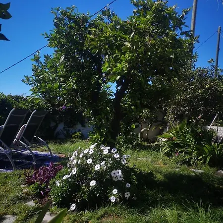 Sila エル・パソ