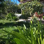 Sila
